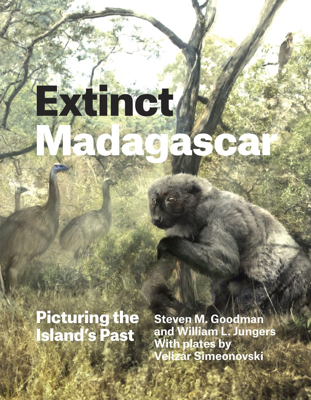 Buy Extinct Madagascar: Picturing the Island's Past (Emersion: Emergent Village resources for communities of faith) (English, Hardcover, Steven M. Good... Online at Best Price - BookBajar