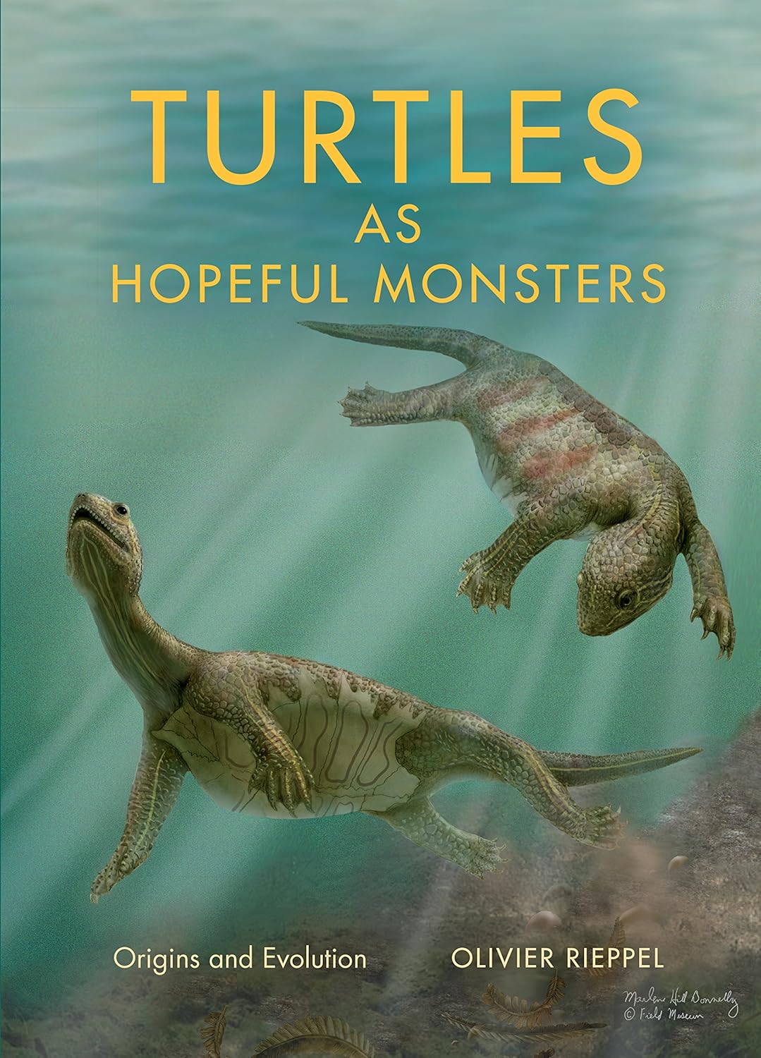 Buy Turtles As Hopeful Monsters: Origins and Evolution (Life of the Past) (English, Paperback, Olivier Rieppel) Online at Best Price - BookBajar