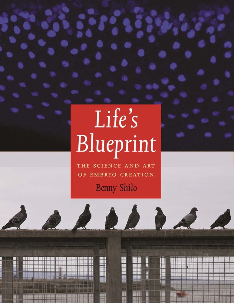 Buy Life's Blueprint: The Science and Art of Embryo Creation (English, Paperback, Benny Shilo) Online at Best Price - BookBajar