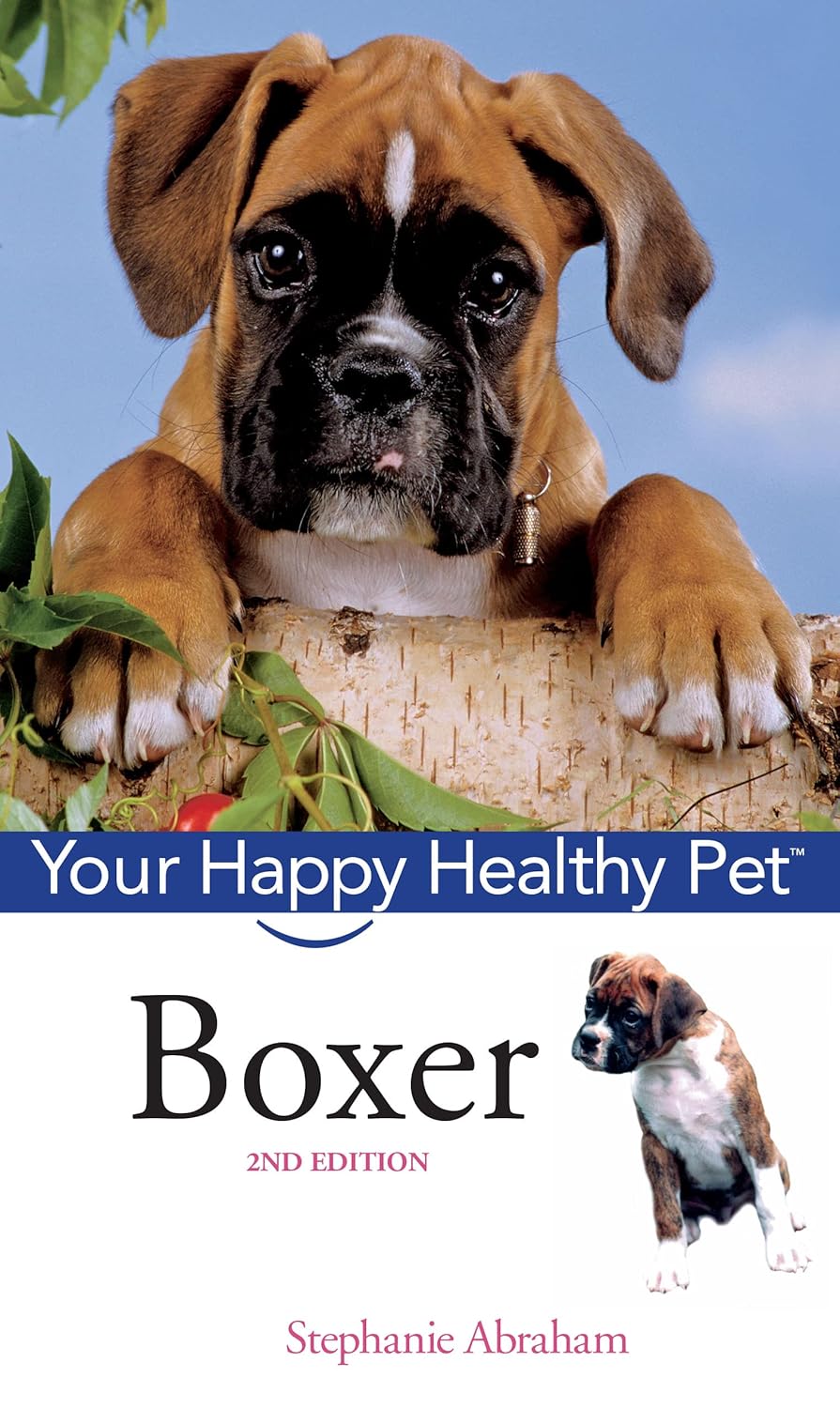 Buy Boxer: Your Happy Healthy Pet: 100 (English, Paperback, ABRAHAM) Online at Best Price - BookBajar