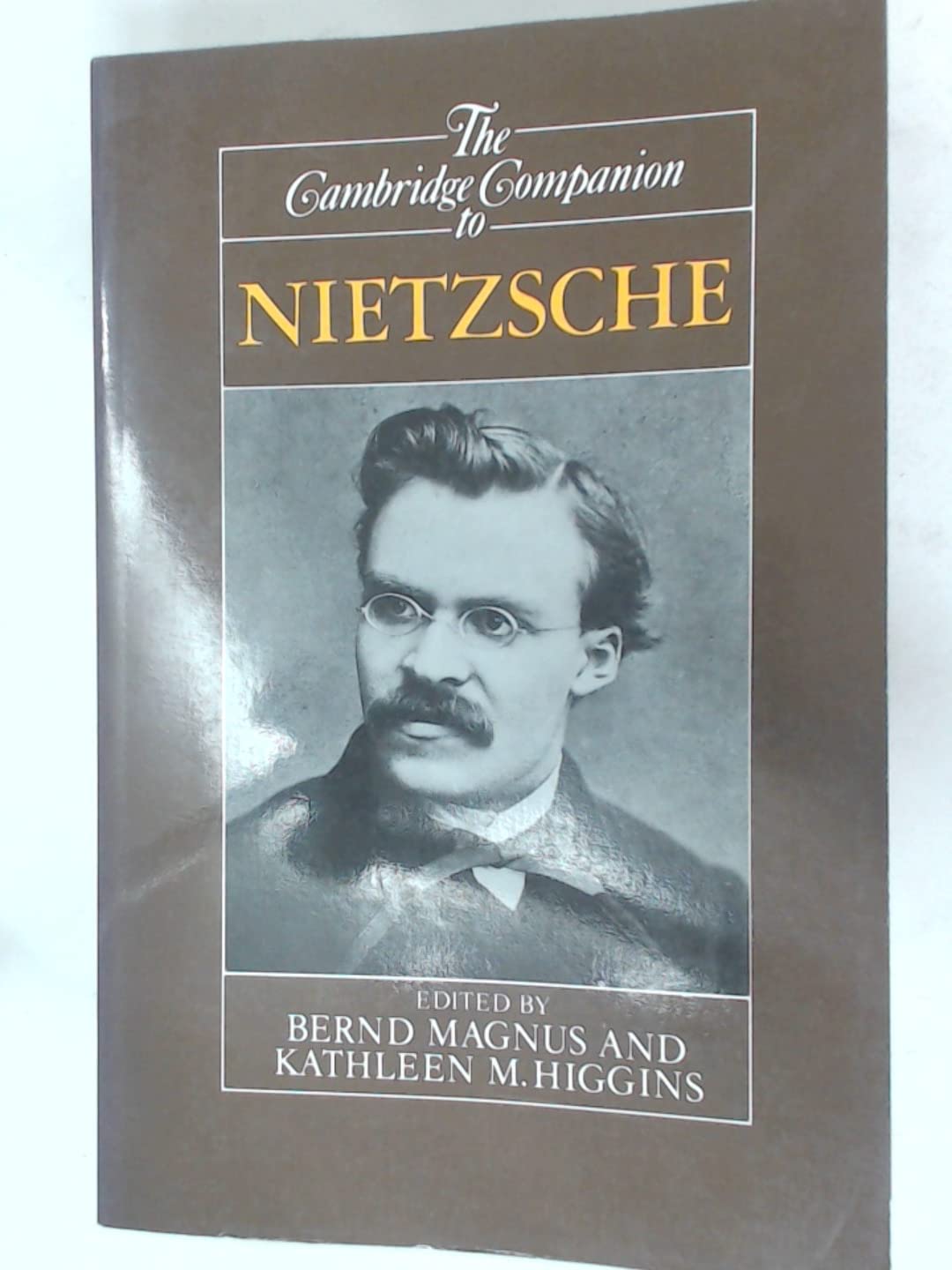 Buy The Cambridge Companion to Nietzsche (English, Paperback, Bernd Magnus, Kathleen Higgins) Online at Best Price - BookBajar
