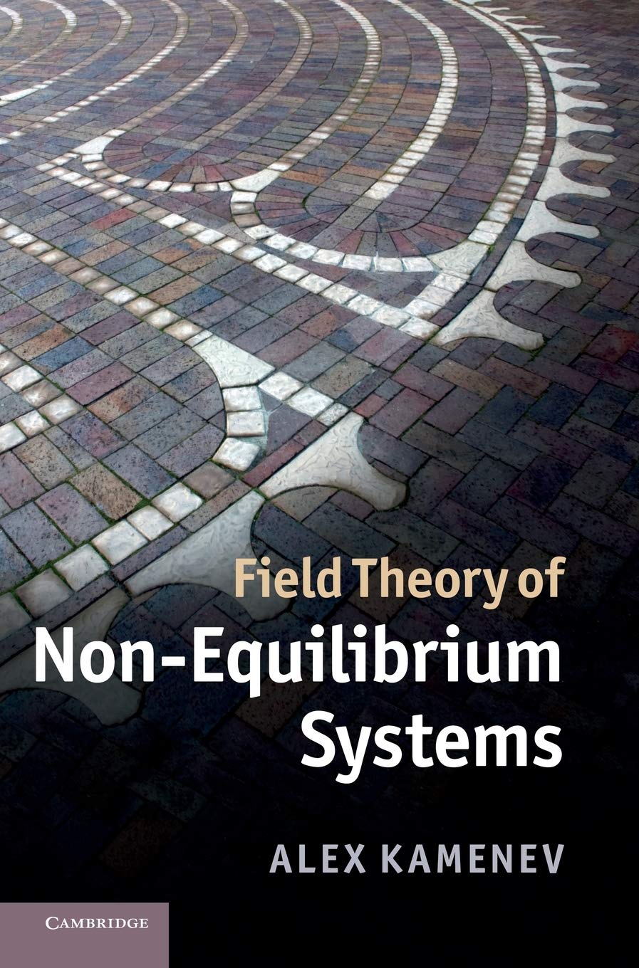 Buy Field Theory of Non - Equilibrium Systems (English, Paperback, Kamenev) Online at Best Price - BookBajar