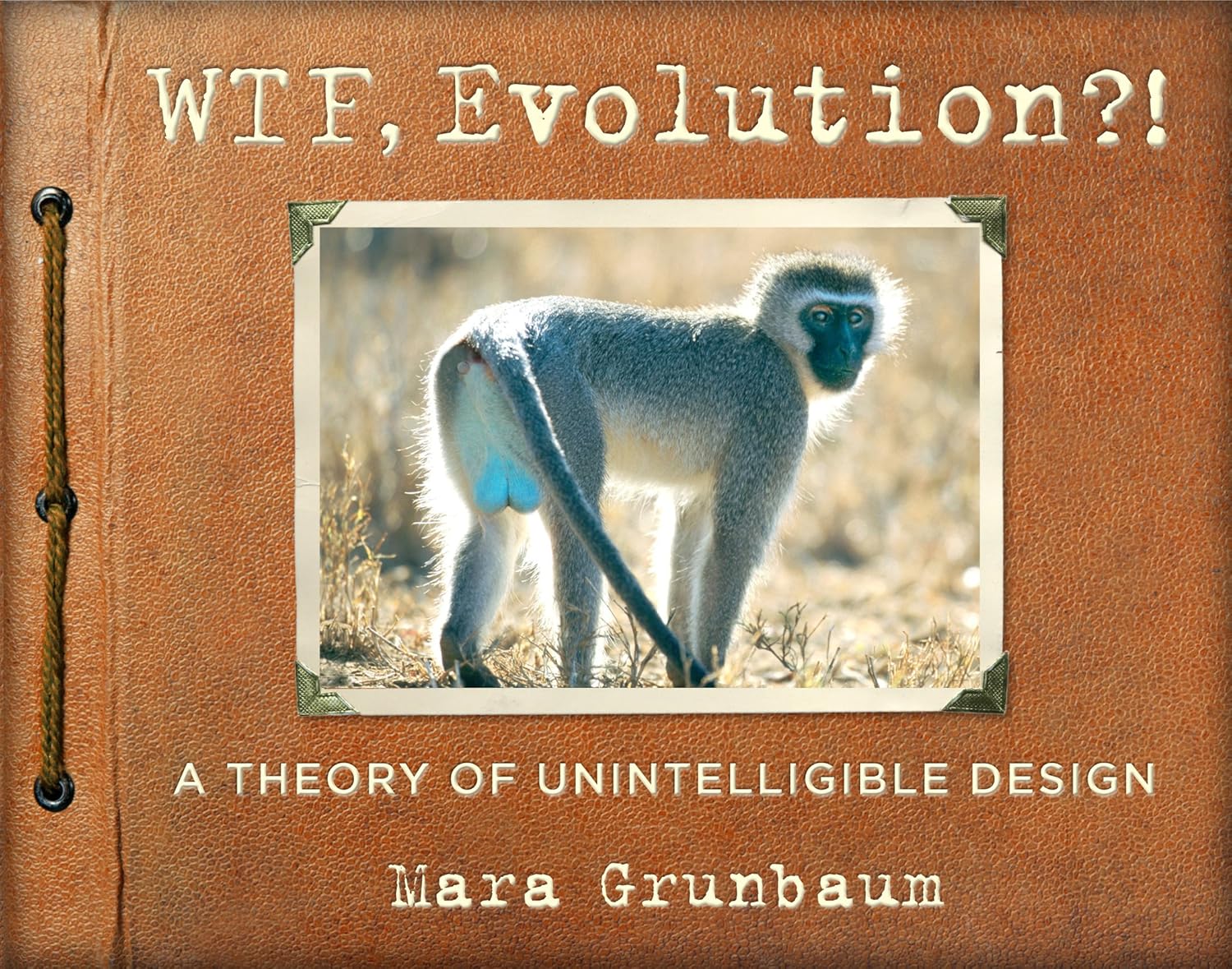 Buy WTF, Evolution?! (English, Paperback, Workman Publishing, Mara Grunbaum) Online at Best Price - BookBajar