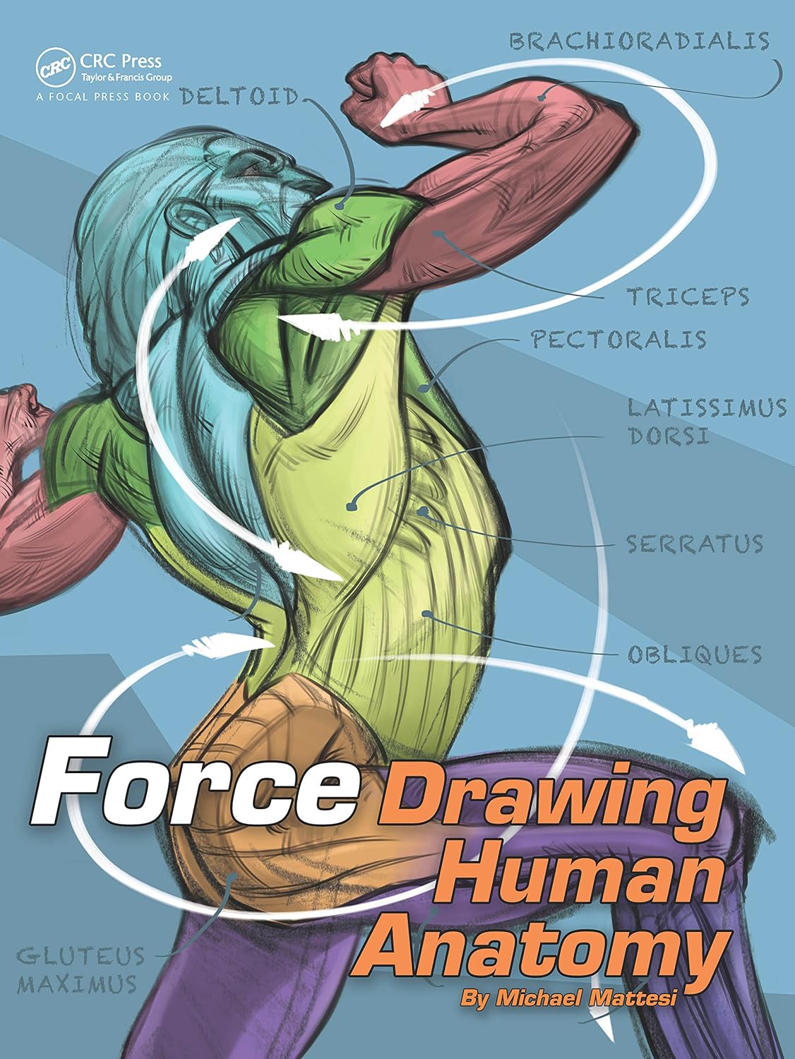 Buy FORCE: Drawing Human Anatomy (English, Paperback) Online at Best Price - BookBajar