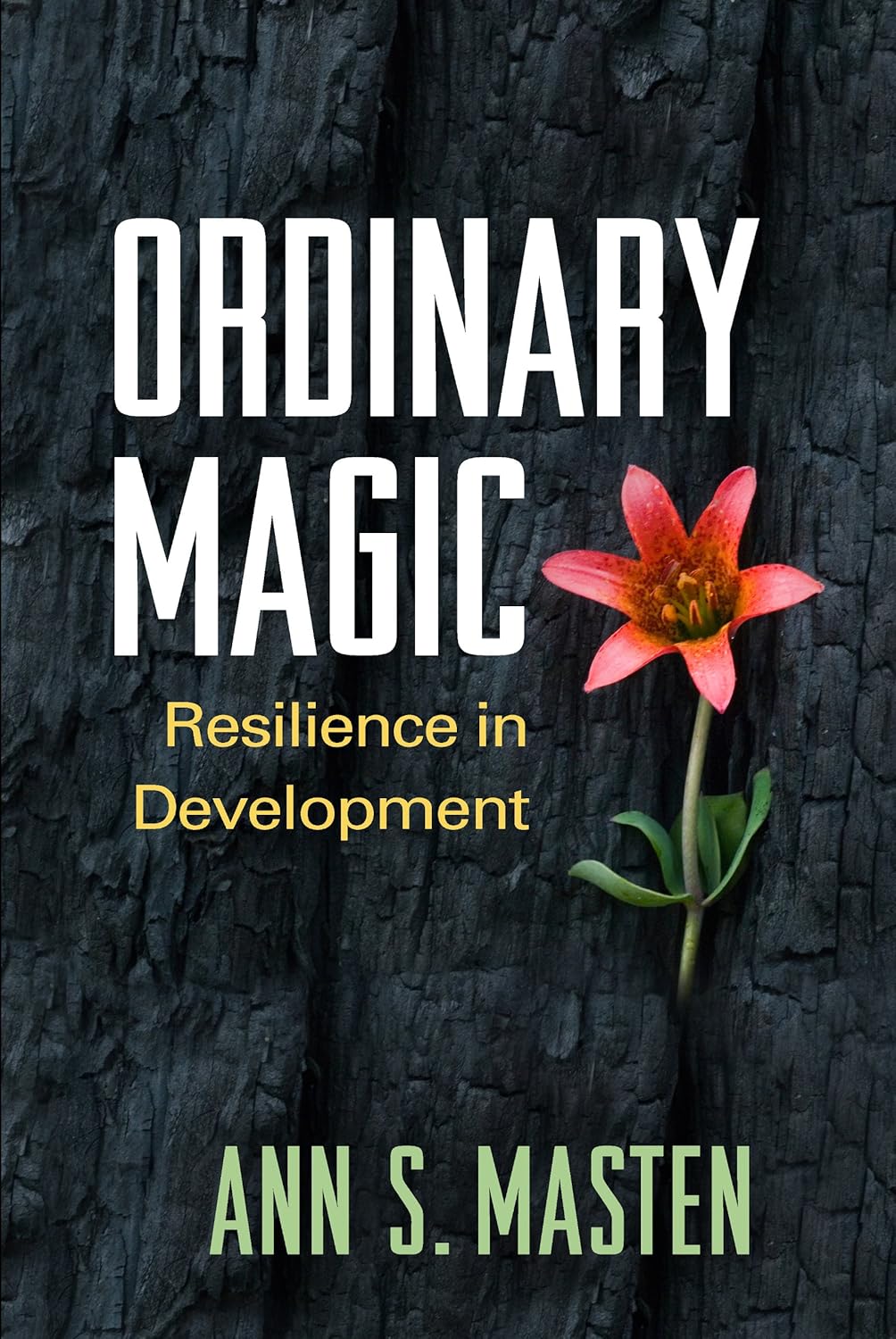Buy Ordinary Magic: Resilience in Development (English, Hardcover, Ann S. Masten) Online at Best Price - BookBajar