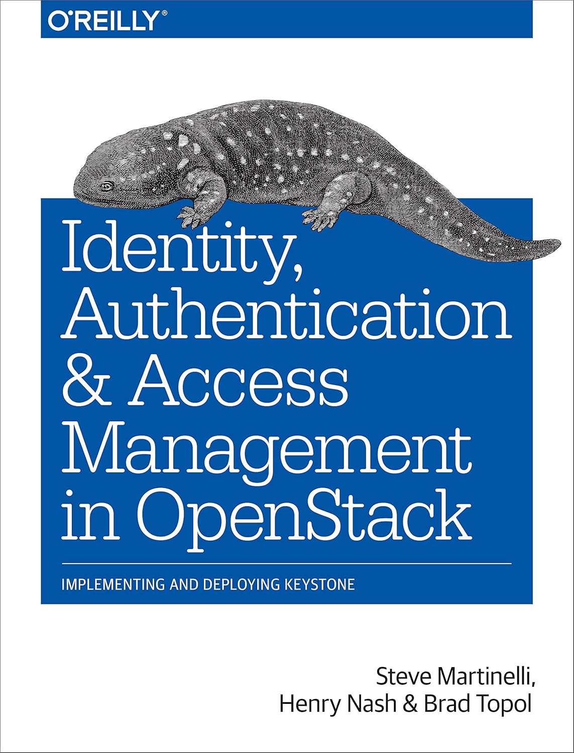 Buy Identity, Authentication and Access Management in OpenStack: Implementing and Deploying Keystone (English, Paperback, Steve Martinelli, Henry Nash,... Online at Best Price - BookBajar