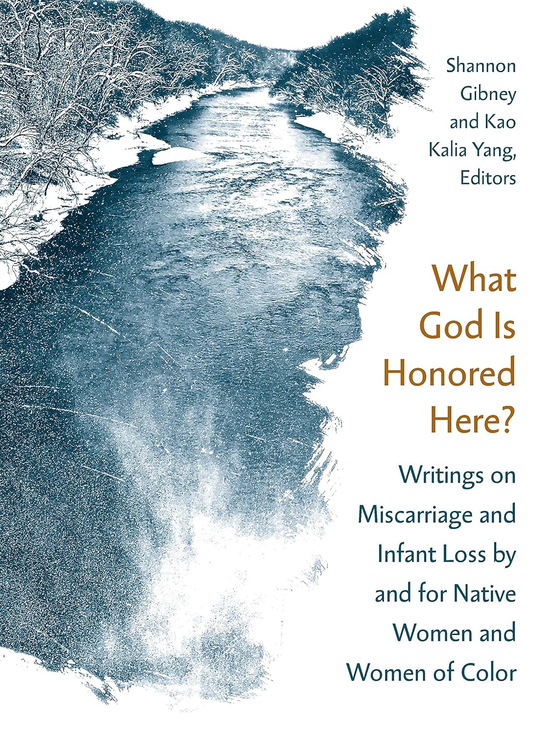 Buy What God Is Honored Here?: Writings on Miscarriage and Infant Loss by and for Native Women and Women of Color (English, Paperback, Shannon Gibney, ... Online at Best Price - BookBajar