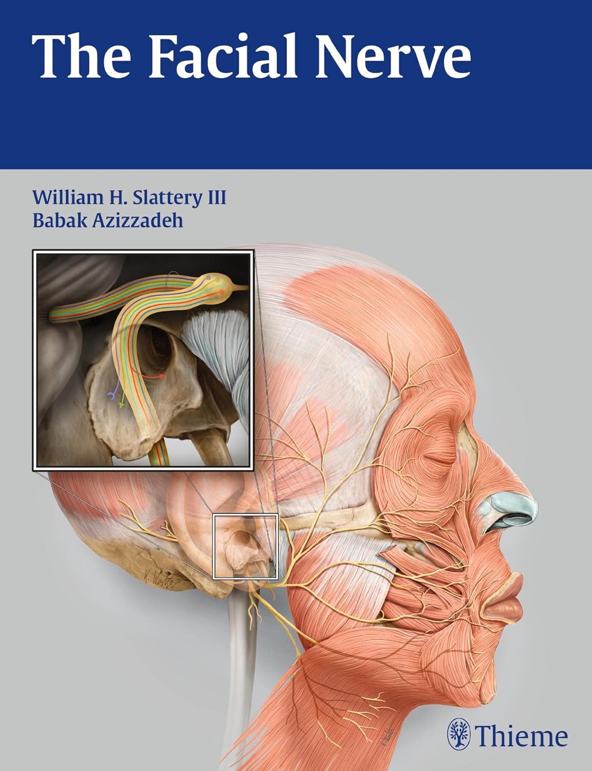 Buy The Facial Nerve (English, Paperback, William H. Slattery) Online at Best Price - BookBajar