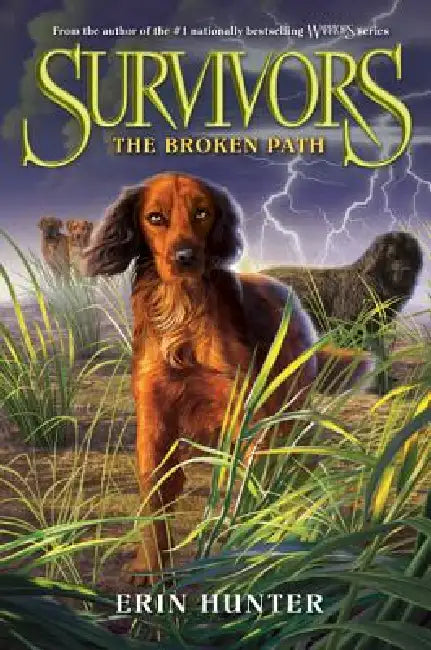 Buy The Broken Path (English, Erin Hunter) Online at Best Price - BookBajar