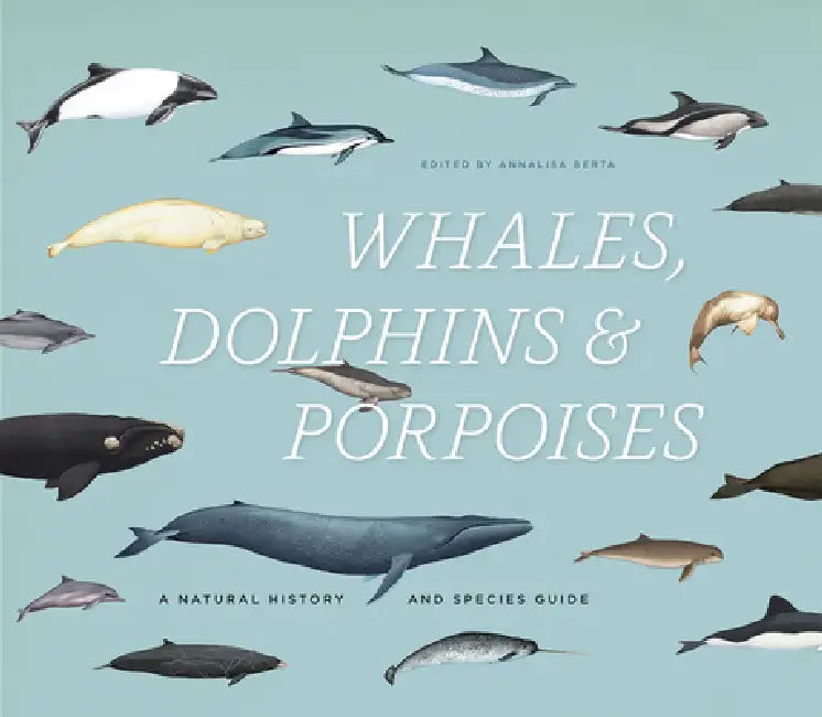 Buy Whales, Dolphins & Porpoises (English, Annalisa Berta) Online at Best Price - BookBajar