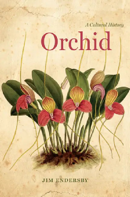Buy Orchid (English, Jim Endersby) Online at Best Price - BookBajar