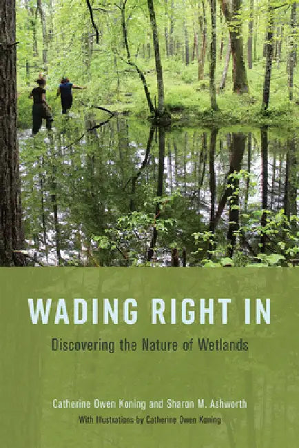 Buy Wading Right in (English, Catherine Owen Koning | Sharon M. Ashworth | Catherine Owen Koning) Online at Best Price - BookBajar