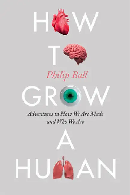 Buy How to Grow a Human (English, Philip Ball) Online at Best Price - BookBajar