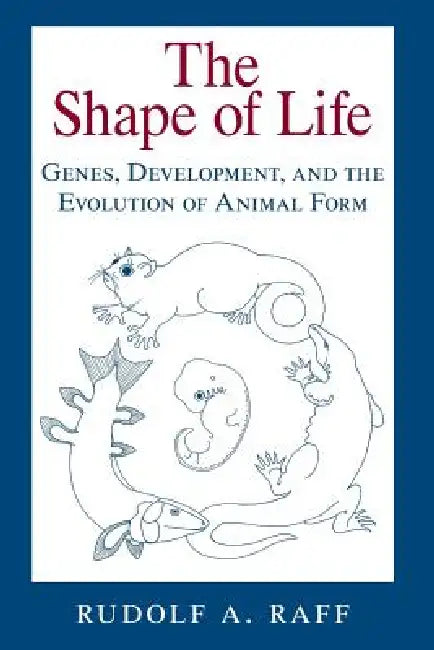 Buy The Shape of Life (English, Rudolf A. Raff) Online at Best Price - BookBajar