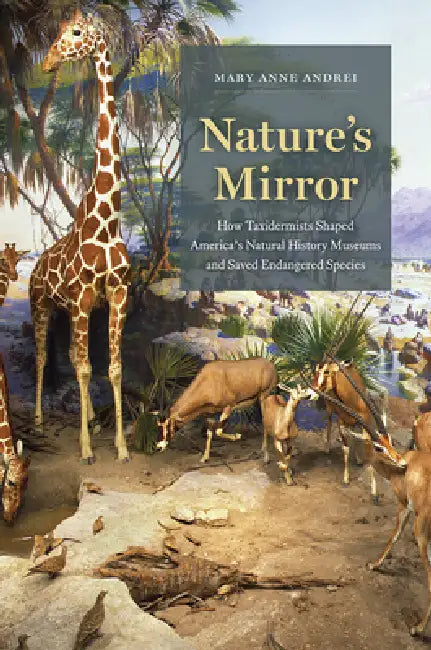 Buy Nature's Mirror (English, Mary Anne Andrei) Online at Best Price - BookBajar