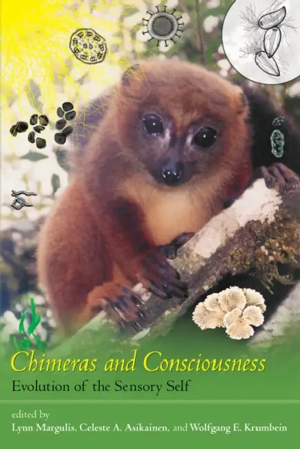 Buy Chimeras and Consciousness (English, Lynn Margulis | Celeste A. Asikainen | Wolfgang E. Krumbein) Online at Best Price - BookBajar