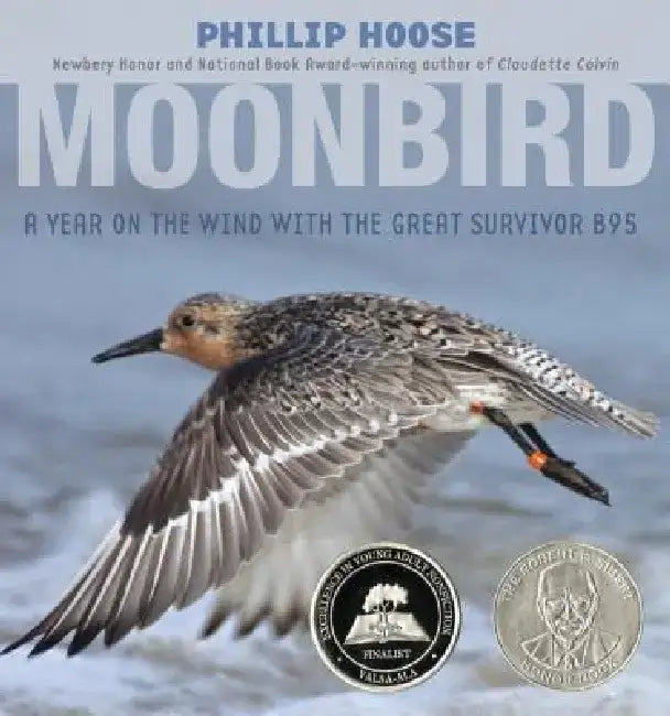 Buy Moonbird (English, Phillip Hoose) Online at Best Price - BookBajar
