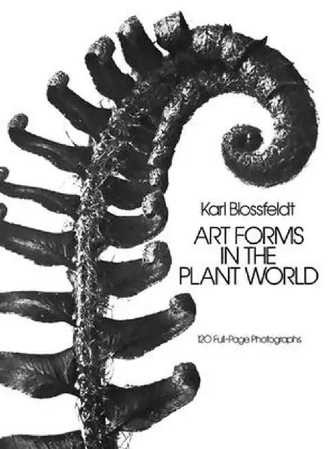 Buy Art Forms in the Plant World (English, Karl Blossfeldt) Online at Best Price - BookBajar