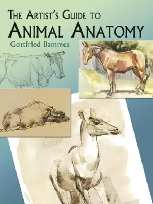 Buy The Artist's Guide to Animal Anatomy (English, Gottfried Bammes) Online at Best Price - BookBajar