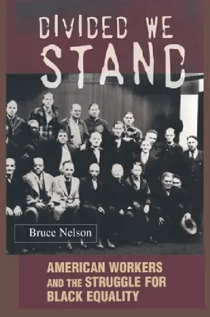 Buy Divided We Stand (English, Bruce Nelson) Online at Best Price - BookBajar