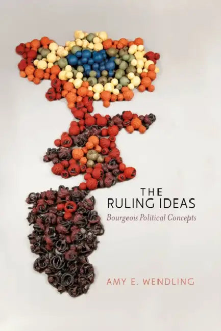 Buy The Ruling Ideas (English, Amy E. Wendling) Online at Best Price - BookBajar