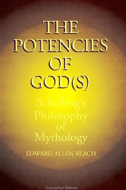 Buy The Potencies of God(s) (English, Edward Allen Beach) Online at Best Price - BookBajar