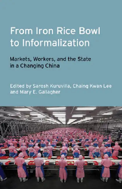 Buy From Iron Rice Bowl to Informalization (English, Sarosh Kuruvilla | Ching Kwan Lee | Mary E. Gallagher) Online at Best Price - BookBajar
