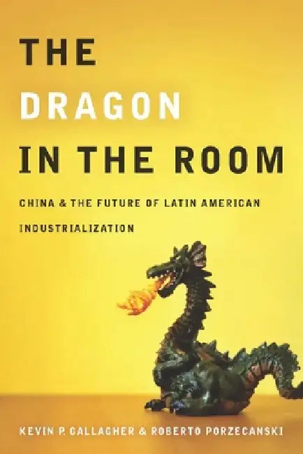 Buy The Dragon in the Room (English, Kevin Gallagher | Roberto Porzecanski) Online at Best Price - BookBajar