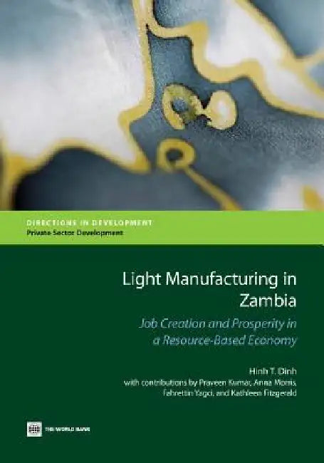 Buy Light Manufacturing in Zambia (English, Hinh T. Dinh | Kumar Praveen | Anna Morris) Online at Best Price - BookBajar