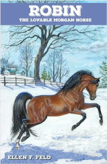 Buy Robin (English, Ellen F. Feld | Jeanne Mellin) Online at Best Price - BookBajar