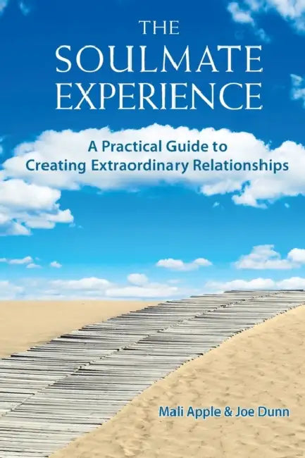 Buy The Soulmate Experience (English, Mali Apple | Joe Dunn) Online at Best Price - BookBajar