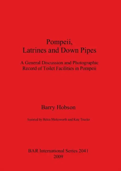 Buy Pompeii, Latrines and Down Pipes (English, Barry Hobson | Helen Molesworth | Kate Trusler) Online at Best Price - BookBajar