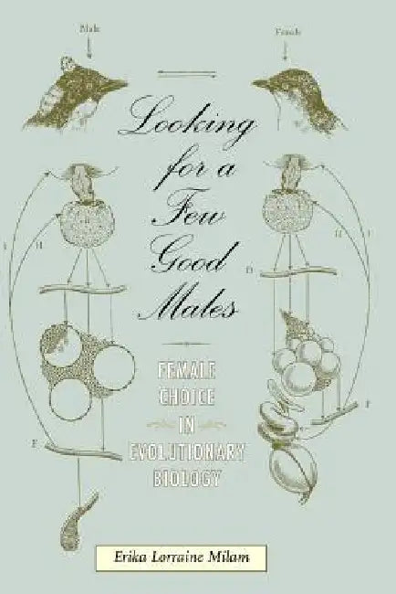 Buy Looking for a Few Good Males (English, Erika L. Milam) Online at Best Price - BookBajar