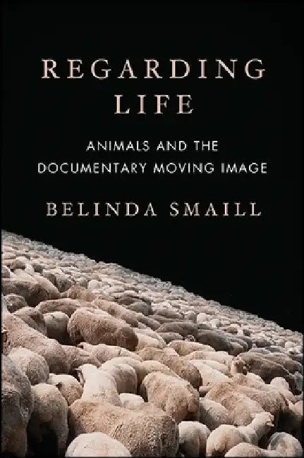 Buy Regarding Life (English, Belinda Smaill) Online at Best Price - BookBajar