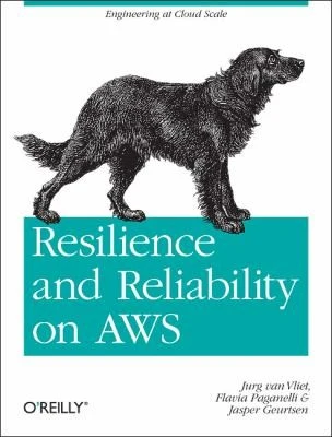 Buy Resilience and Reliability on AWS (English, Jurg Van Vliet | Flavia Paganelli | Jasper Geurtsen) Online at Best Price - BookBajar