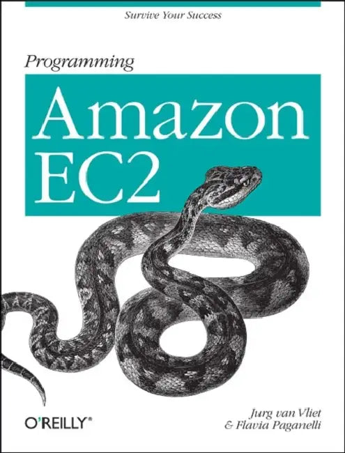 Buy Programming Amazon Ec2 (English, Jurg Van Vliet | Flavia Paganelli) Online at Best Price - BookBajar