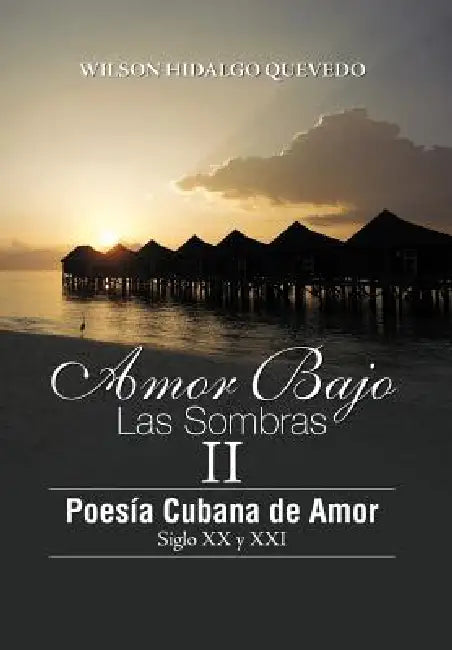 Buy Amor Bajo Las Sombras II (English, Wilson Hidalgo Quevedo) Online at Best Price - BookBajar