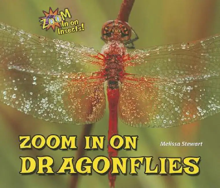 Buy Zoom in on Dragonflies (English, Melissa Stewart) Online at Best Price - BookBajar