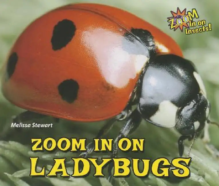 Buy Zoom in on Ladybugs (English, Melissa Stewart) Online at Best Price - BookBajar
