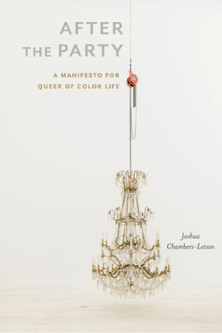 Buy After the Party (English, Joshua Chambers-Letson) Online at Best Price - BookBajar