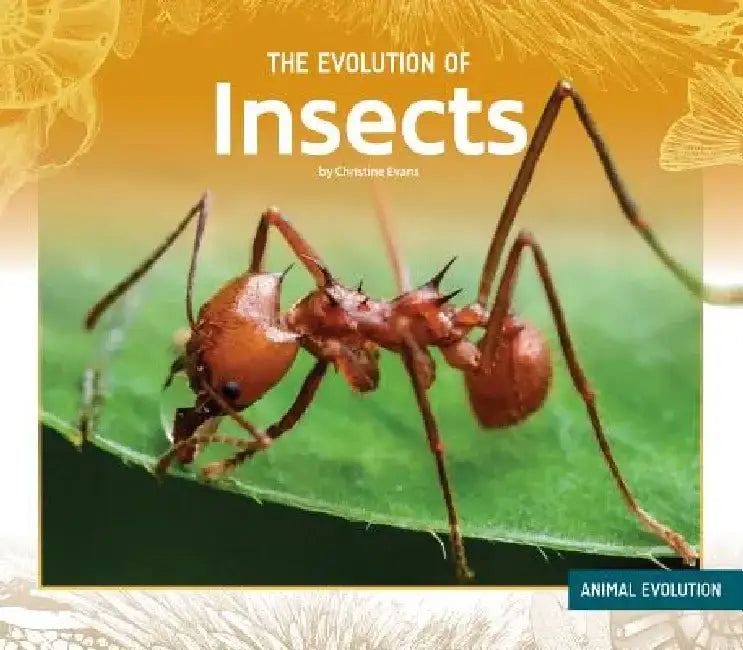 Buy Evolution of Insects (English, Christine Evans) Online at Best Price - BookBajar