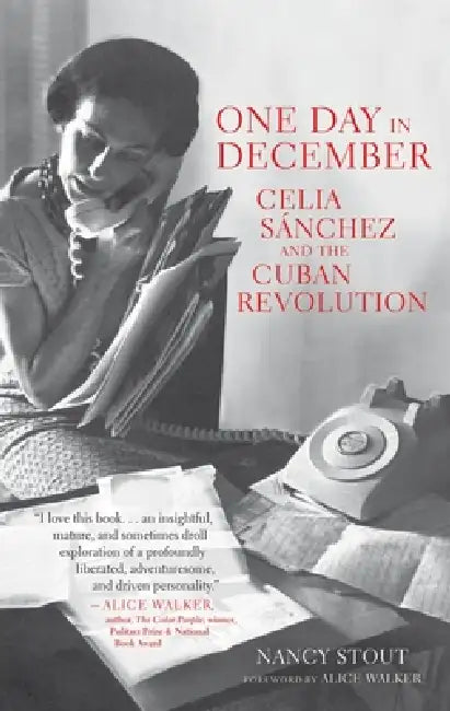Buy One Day in December (English, Nancy Stout | Alice Walker) Online at Best Price - BookBajar