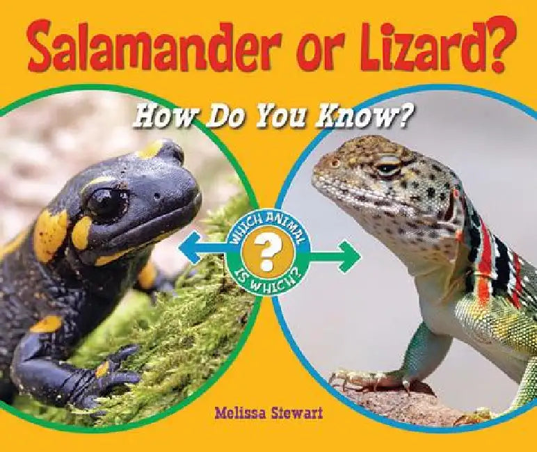 Buy Salamander or Lizard? (English, Melissa Stewart) Online at Best Price - BookBajar