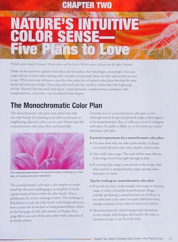 Buy Color Play (English, Joen Wolfrom) Online at Best Price - BookBajar