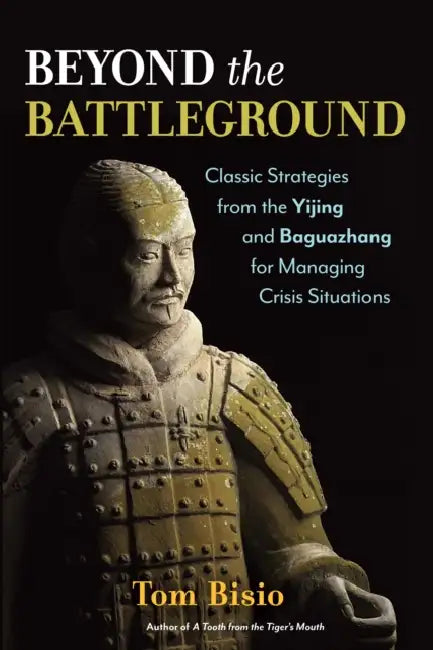 Buy Beyond the Battleground (English, Tom Bisio) Online at Best Price - BookBajar