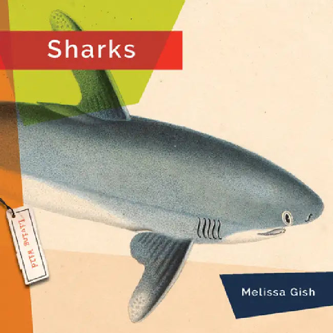 Buy Sharks (English, Melissa Gish) Online at Best Price - BookBajar