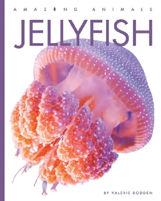 Buy Jellyfish (English, Valerie Bodden) Online at Best Price - BookBajar