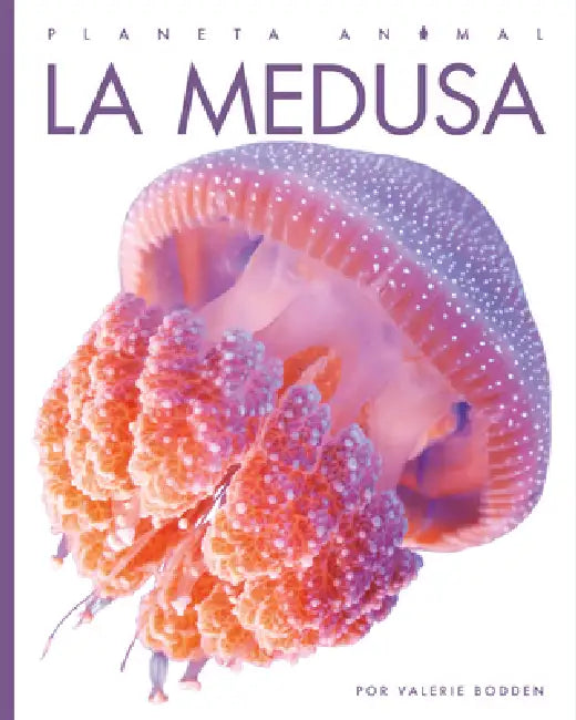 Buy La Medusa (English, Kate Riggs) Online at Best Price - BookBajar