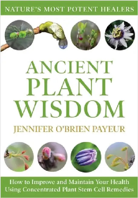 Buy Ancient Plant Wisdom (English, Jennifer O'Brien Payeur) Online at Best Price - BookBajar