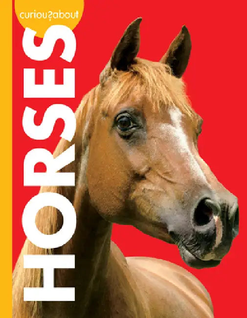 Buy Curious about Horses (English, Jill Sherman) Online at Best Price - BookBajar